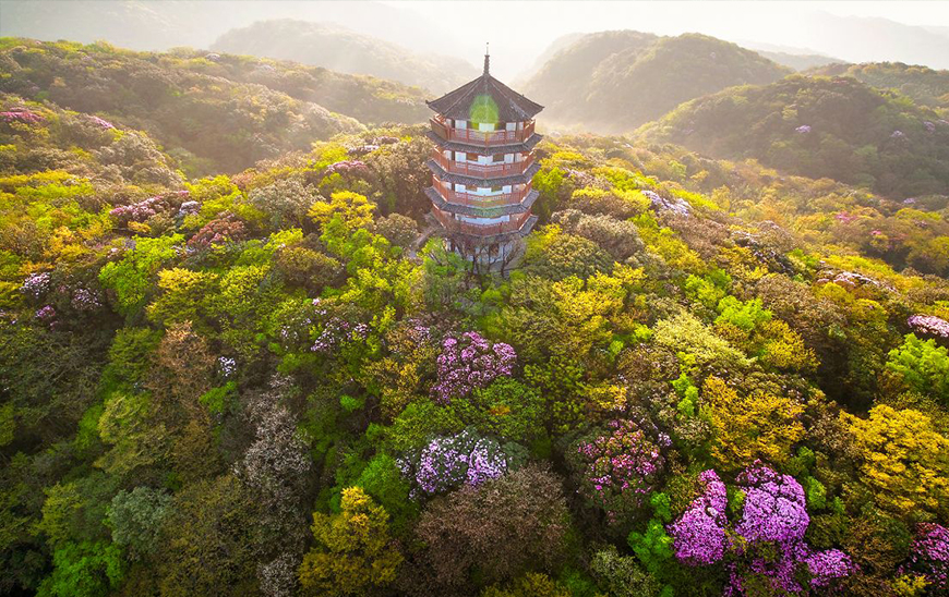 金佛山國家知名5A景區特色家具打造